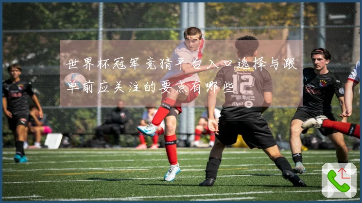 世界杯冠军竞猜平台入口选择与跟单前应关注的要点有哪些