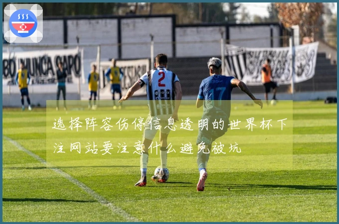 选择阵容伤停信息透明的世界杯下注网站要注意什么避免被坑